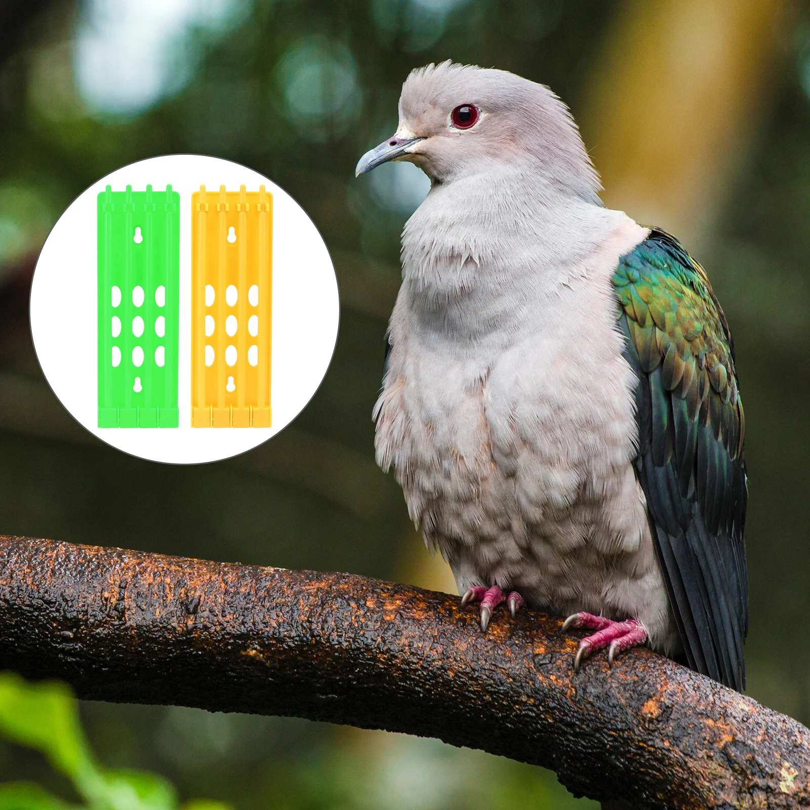 

2Pcs Pigeon Foot Ring Rack Bright Color Multiple Poles Organizing Racing Homing Pigeon Foot Ring Storage Rack Supplies