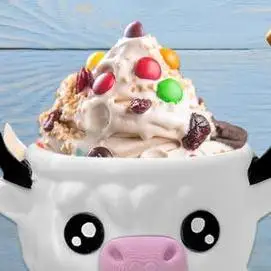 

Ice Cream Pint Sleeve Reusable Highland Cow Ice Pint Holder Leak Proof Animal Container Cooler Gifts for Dessert Freezer