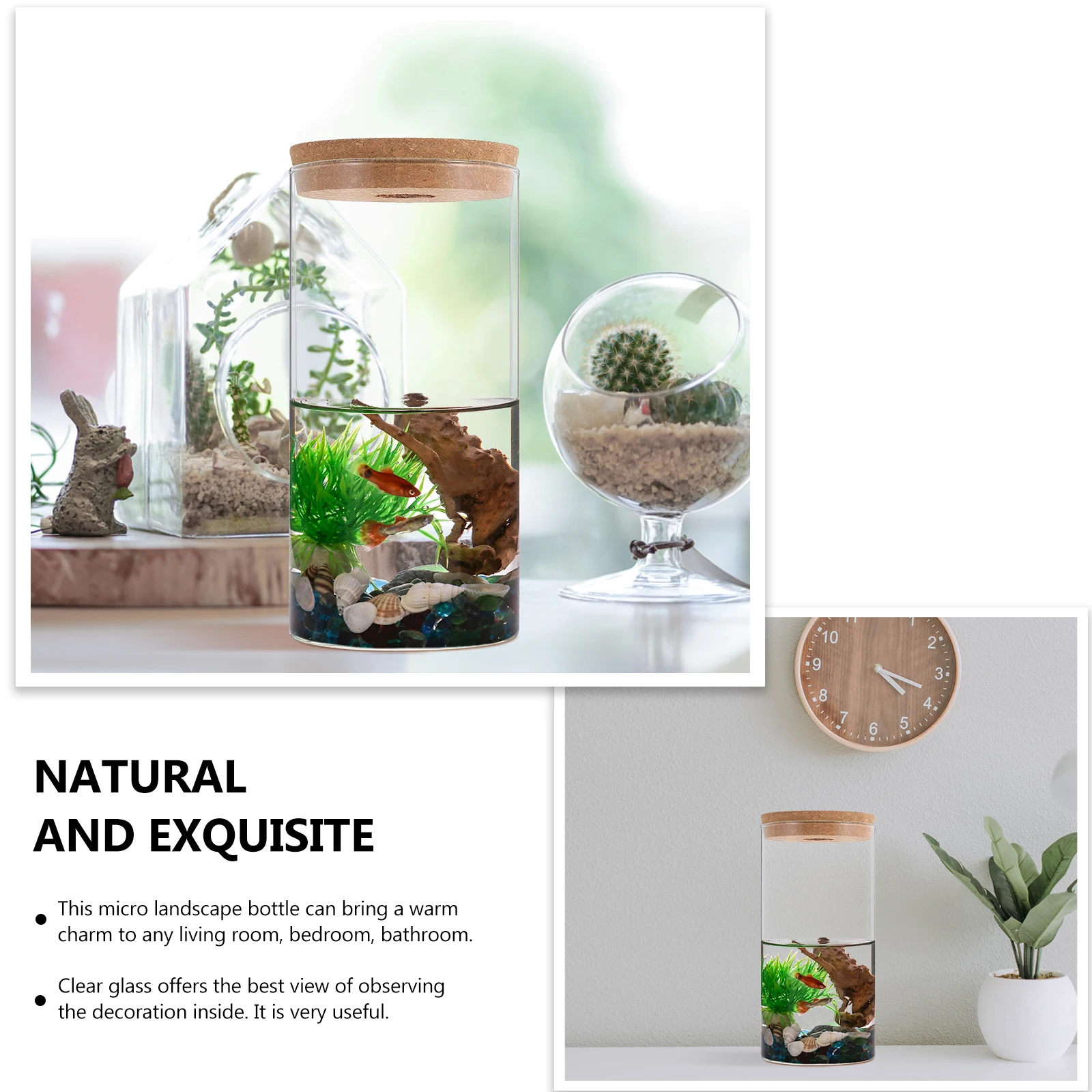 

2pcs Glass Terrarium Container Clear Surface Diy Micro Landscape Bottle Moss Plant Decorative Vase Home Bedroom Bathroom