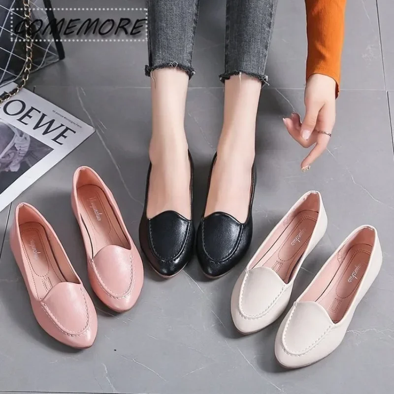 plus-size-primavera-verao-mulheres-mocassins-apontou-deslizamento-em-sapatos-de-banquete-mulher-ballet-apartamentos-casual-senhora-confortavel-zapatos-mujer-plutonio