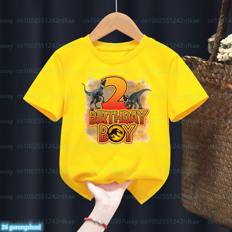 Engraçado jurassic parque número 1-13 camiseta dinossauro feliz aniversário menino camiseta bebê crianças roupas de manga curta t nome superior personalizado