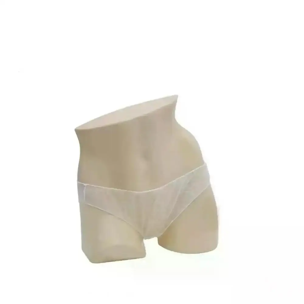 Disposable Large Panties (44/46) with 20 Units