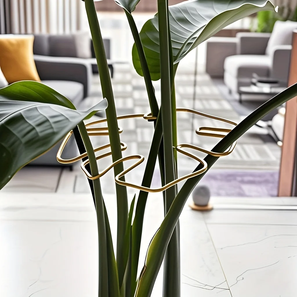Système de support robuste pour Monstera - Structure de jardin en métal pour plantes grimpantes, sûre et esthétique |   Support pour plantes grimpantes (6x5 pouces)