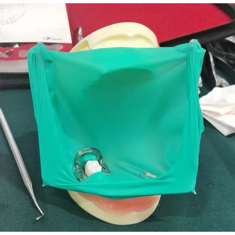 

5pcs Dental Rubber Barrier Bracket Foldable Mouth Support High-Temp Resistant Dentist Lab Materials Plastic Tools