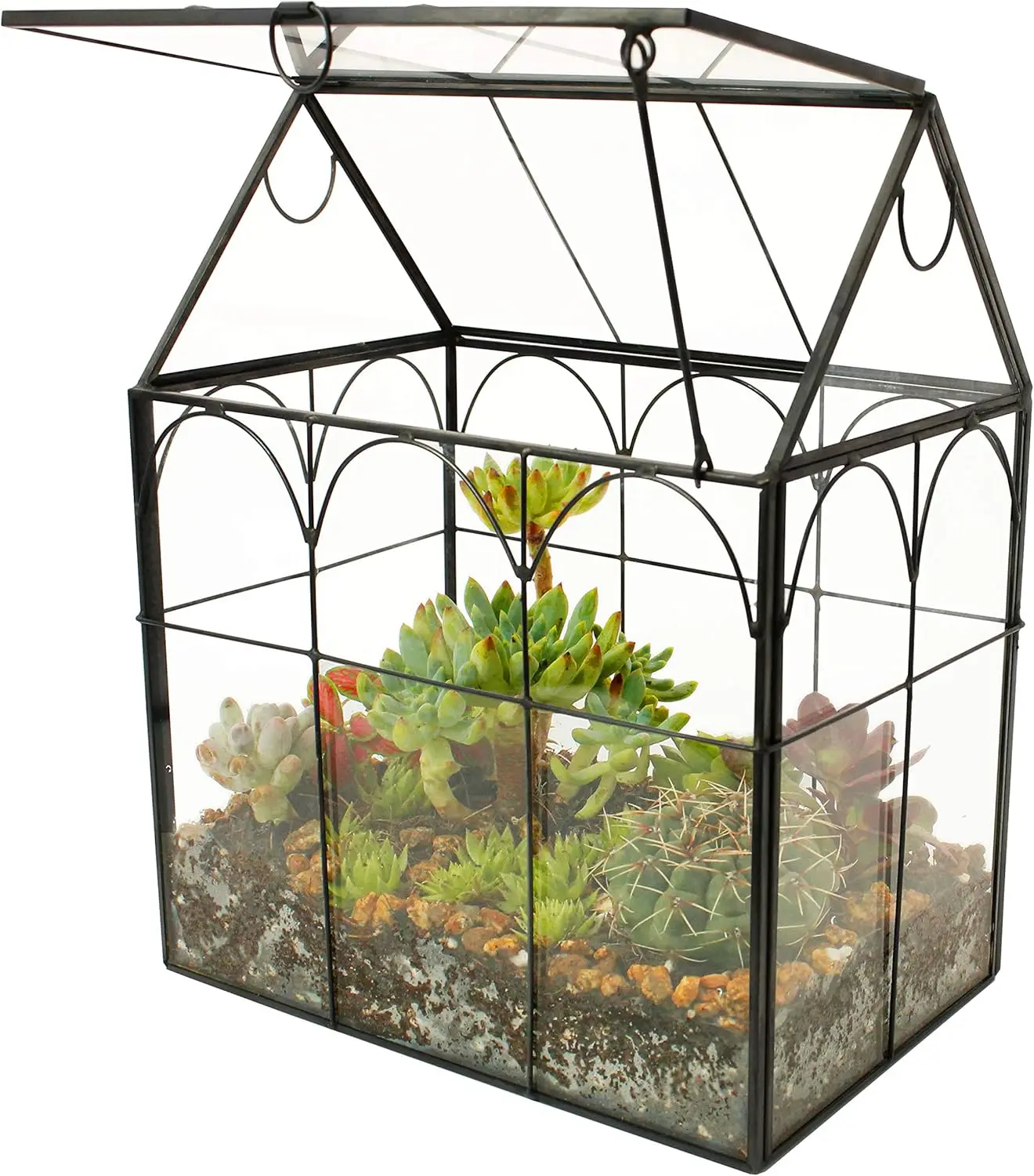 

Glass Geometric Plant Terrarium,Succulent & Air Planter for Home Garden Office Decoration (Black House)