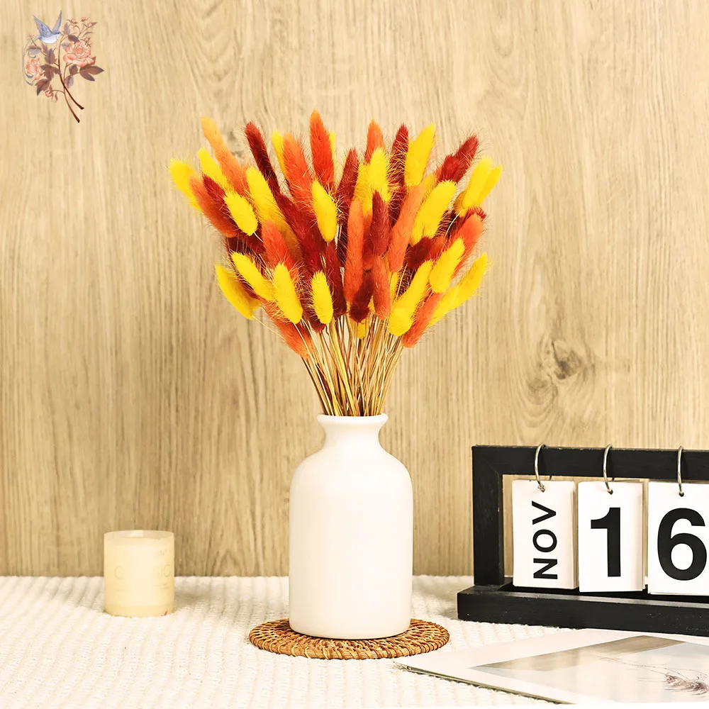 90 Stems Colorful Rabbit Tail Grass Natural Dried Flower Home Vase Decor for DIY Craft Lagurus Ovatus Plants Wedding Arrangement - Image 3