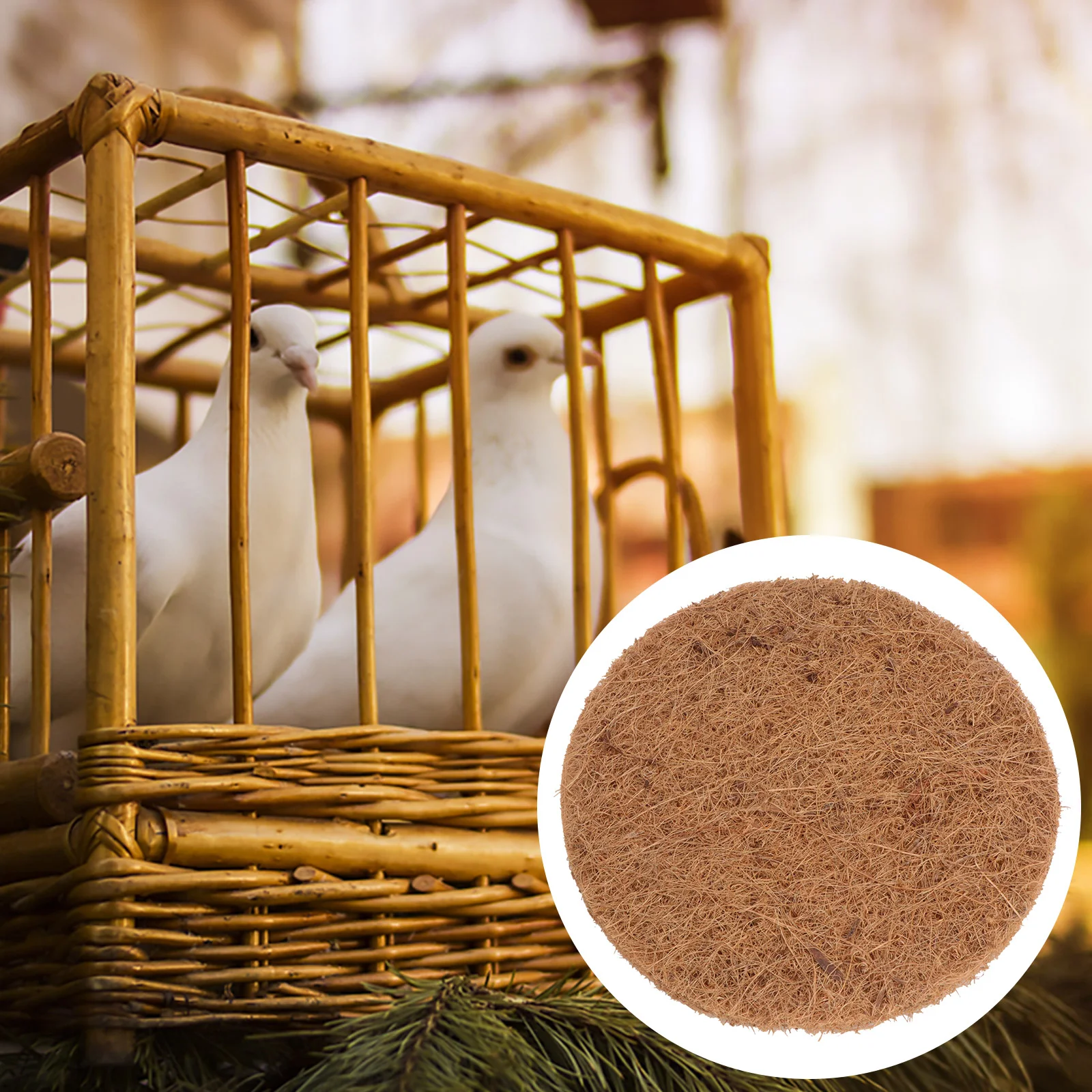 10 Pcs Bird Cage Accessories Round Pad Plants Pets Racing Nesting Egg Mat Hydroponic Pigeon Brown Cushion