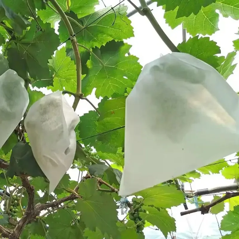 50/100pcs Strawberry Grapes Fruit Grow Bags Netting Mesh Protection Agriculture Garden Anti-Bird Tools Vegetable Bags Plant gallery 4