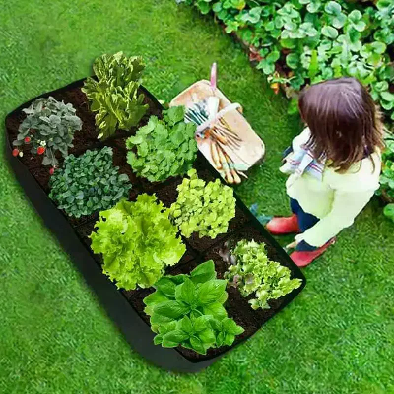 1/2/4/6/8 Holes Black Grow Bag Fabric Raised Garden Bed, Flowers And Vegetables Garden Grow Bags Rectangle Planting Nursery