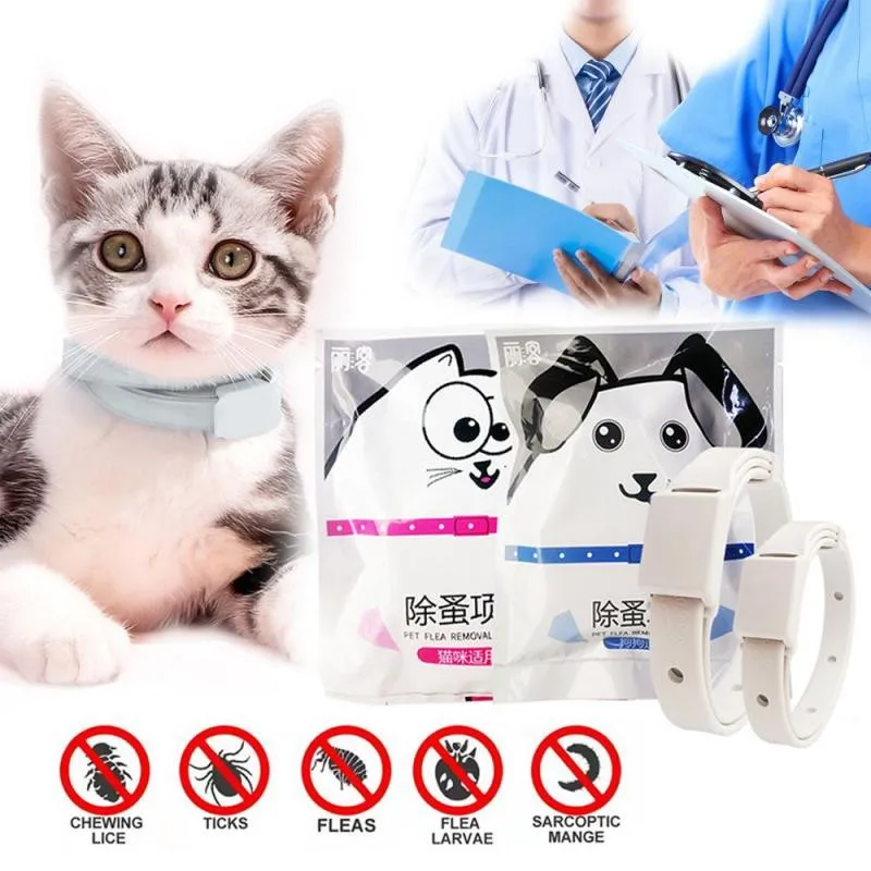 Dog Cat Collar 8 Month Flea & Tick Prevention Collar & Leads for Cats Dog Mosquitoes Repellent Collar Insect Mosquitoes Supply