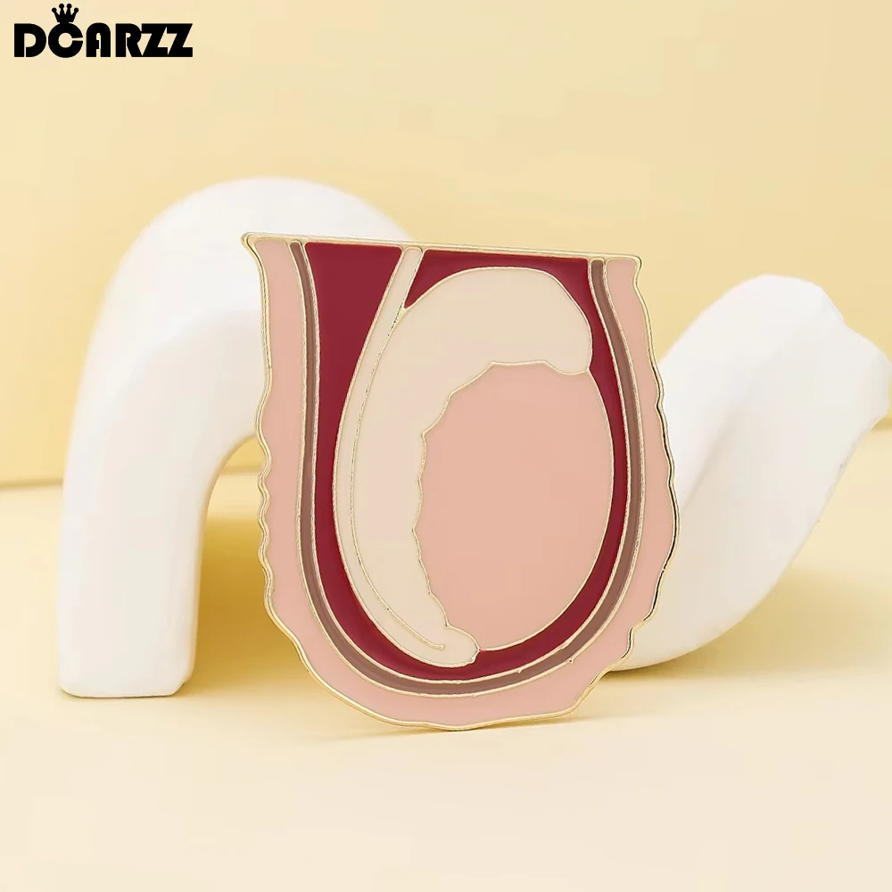 DCARZZ Testicular Anatomy Enamel Brooch Medical Jewelry Andrology Biology Pin Doctor Nurse Backpack Lapel Badge Accessories