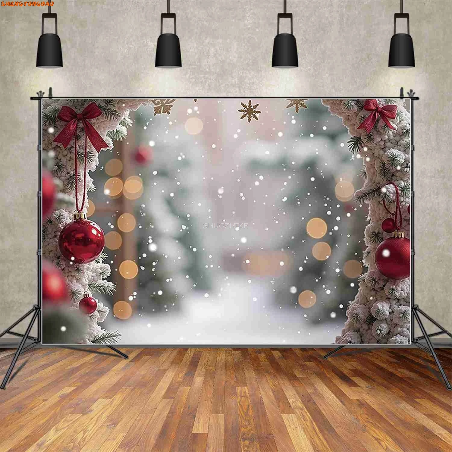 Globe à neige arrière-plans de Noël, champ d'hiver, flocon de neige, cadeaux enrichis, photozone, fournitures de studio photo pour enfants