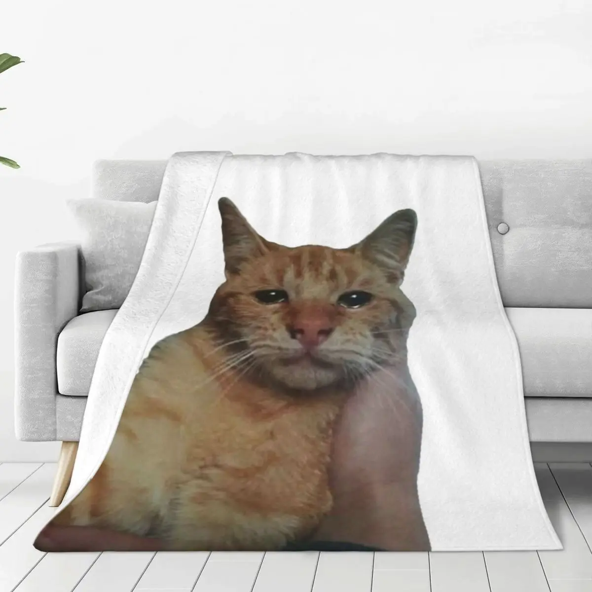 

Crying Cat Being Held Meme Blanket Fleece Summer Air Conditioning Breathable Thin Throw Blanket for Sofa Travel Quilt