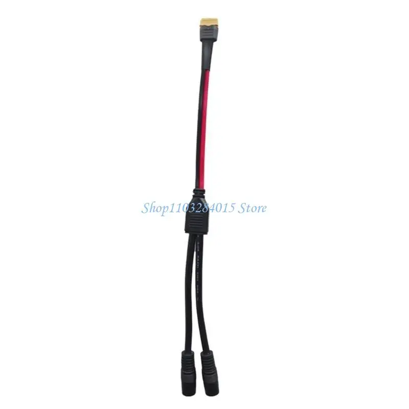 R6FF 12AWG XT60 إلى اثنين #1