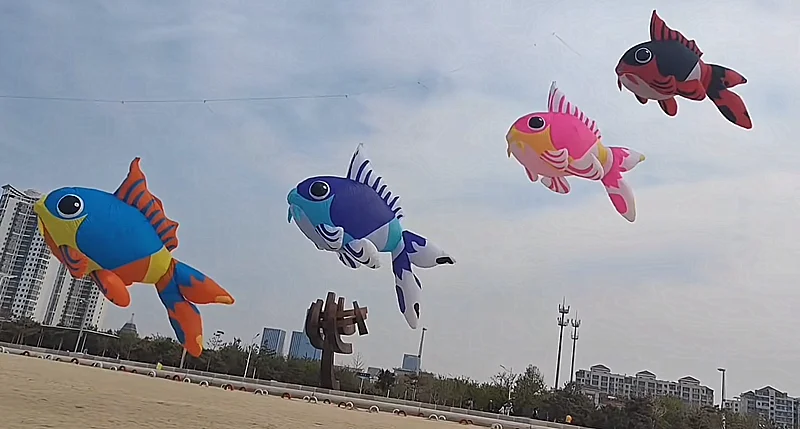 5m金魚凧ペンダント、膨張式エイリアン凧工場、凧糸、風凧、パラグライダー、ウィンドサーフィン、屋外凧、インフレータブル