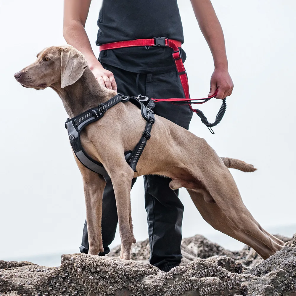 

No Hood Explosion Proof Dog Chest Harness Adjustable Breathable Vest-Style Leash for Medium Large Dogs Reflective Dog Harness