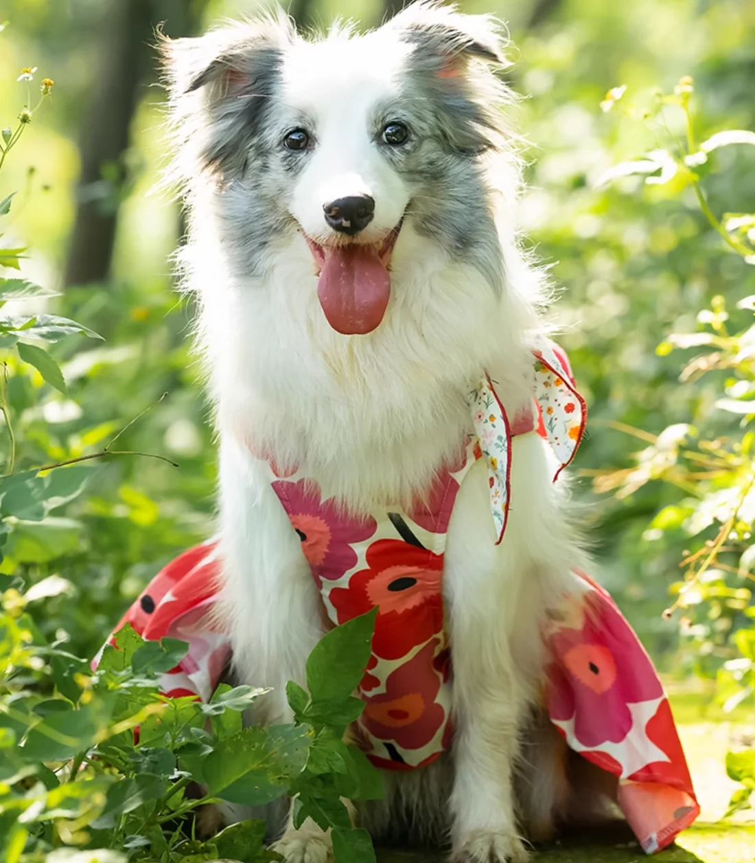 Cute Cat and Dog Clothes, Summer Flower Skirt, Chest Back, Big Dog, Bull Terrier, Grey Dog Clothes