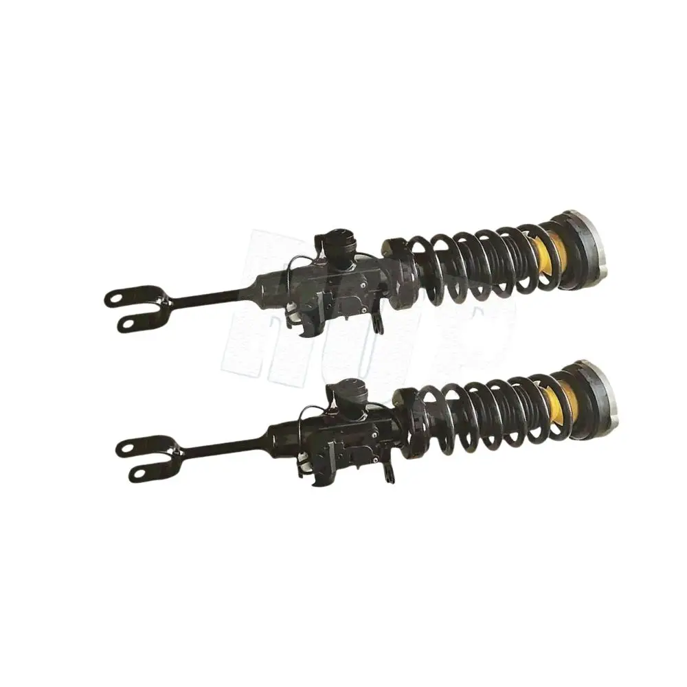 Pair Front Shock Strut Assys For BMW 5 7 Series F01 F02 F07 530d 535d 535i 550i 740i 750Li 750i 760Li 760i 2007-2015 37116796925