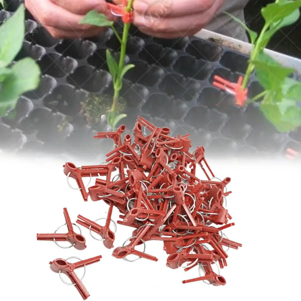 1 Bag Grafting Clip Flexible Rust-free Flower Stem Clamp Plastic Round Flat Mouth Plant Support Clip Vegetable Stalks Clips