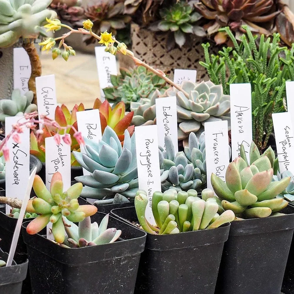 

100pcs Garden Plant Labels White Plastic PVC Plant Tags Markers Nursery Garden Labels Seedling-Tray Home Garden Plants Labels