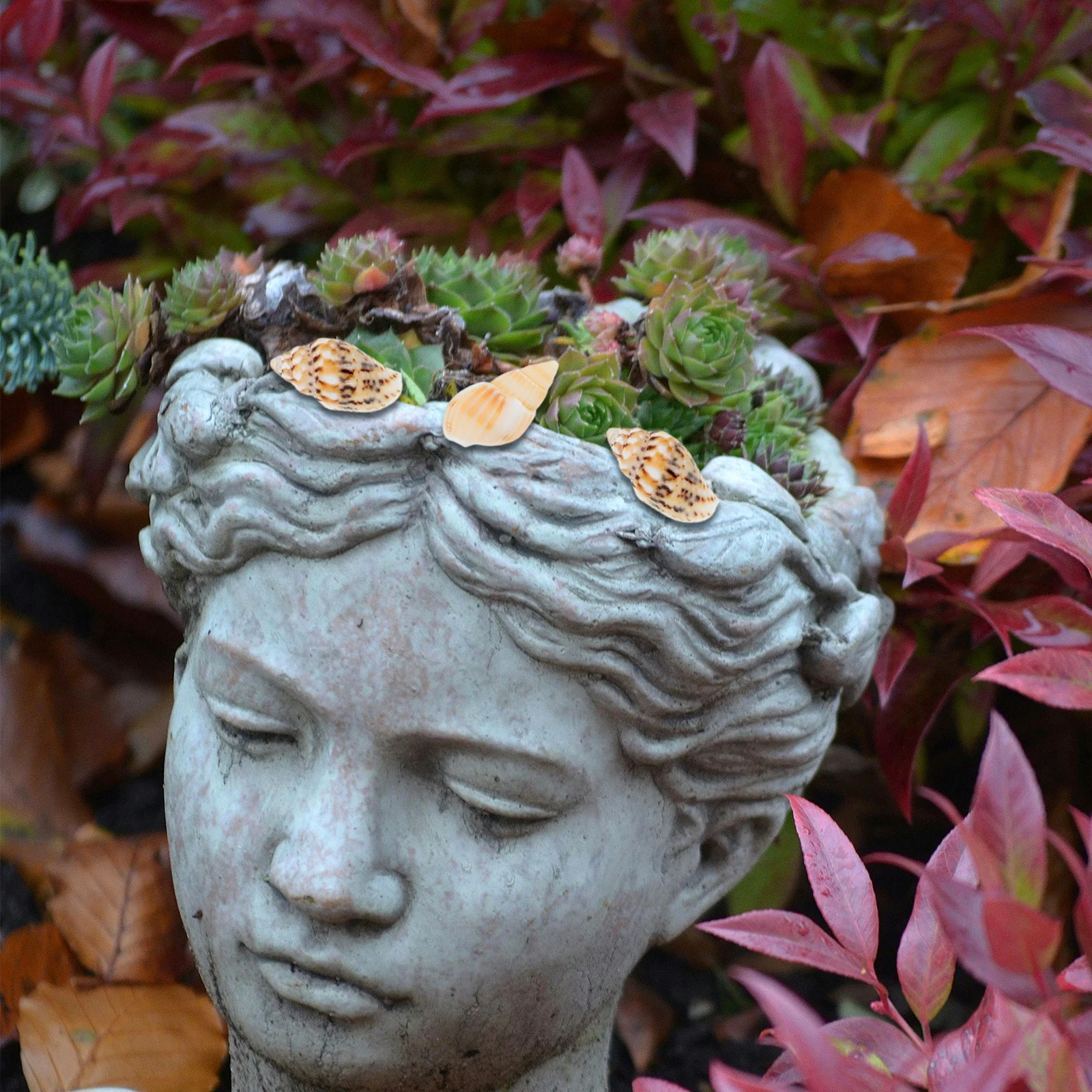 

50Pcs Realistic Mini Seashells DIY Craft Decoration Beach Photo Props for Micro Landscape Home Office Decor Shell Ornaments