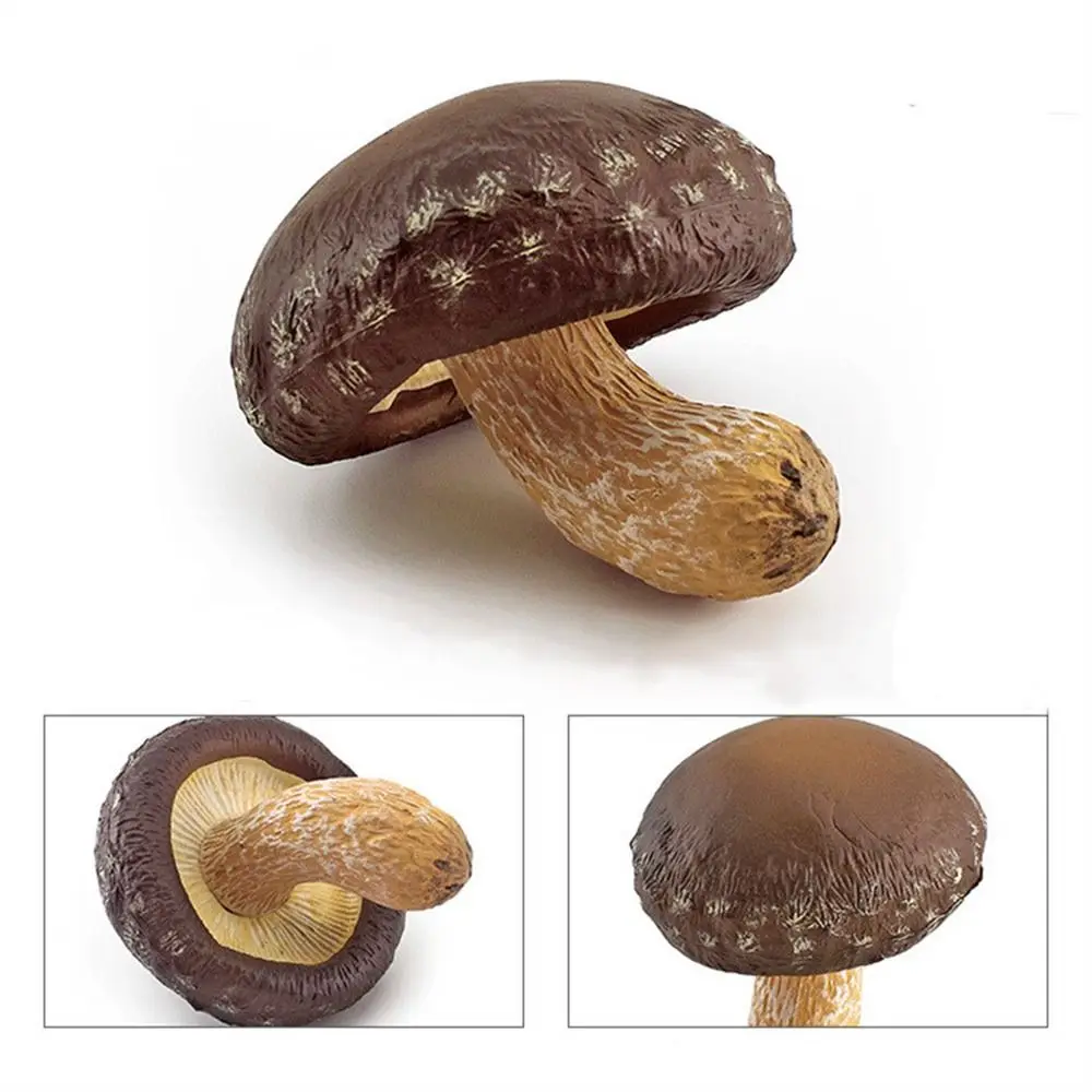 

Vegetable Model Fungus Figurines Landscape Miniatures Artificial Simulation Mushroom Plant Teaching Toy Fungus Model