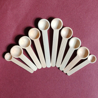 5PCS Small Spoons Kitchen Seasoning Honey Coffee Kitchen Cooking Coffee Bean Salt Spice Jars Wooden Measuring Spoons Tools