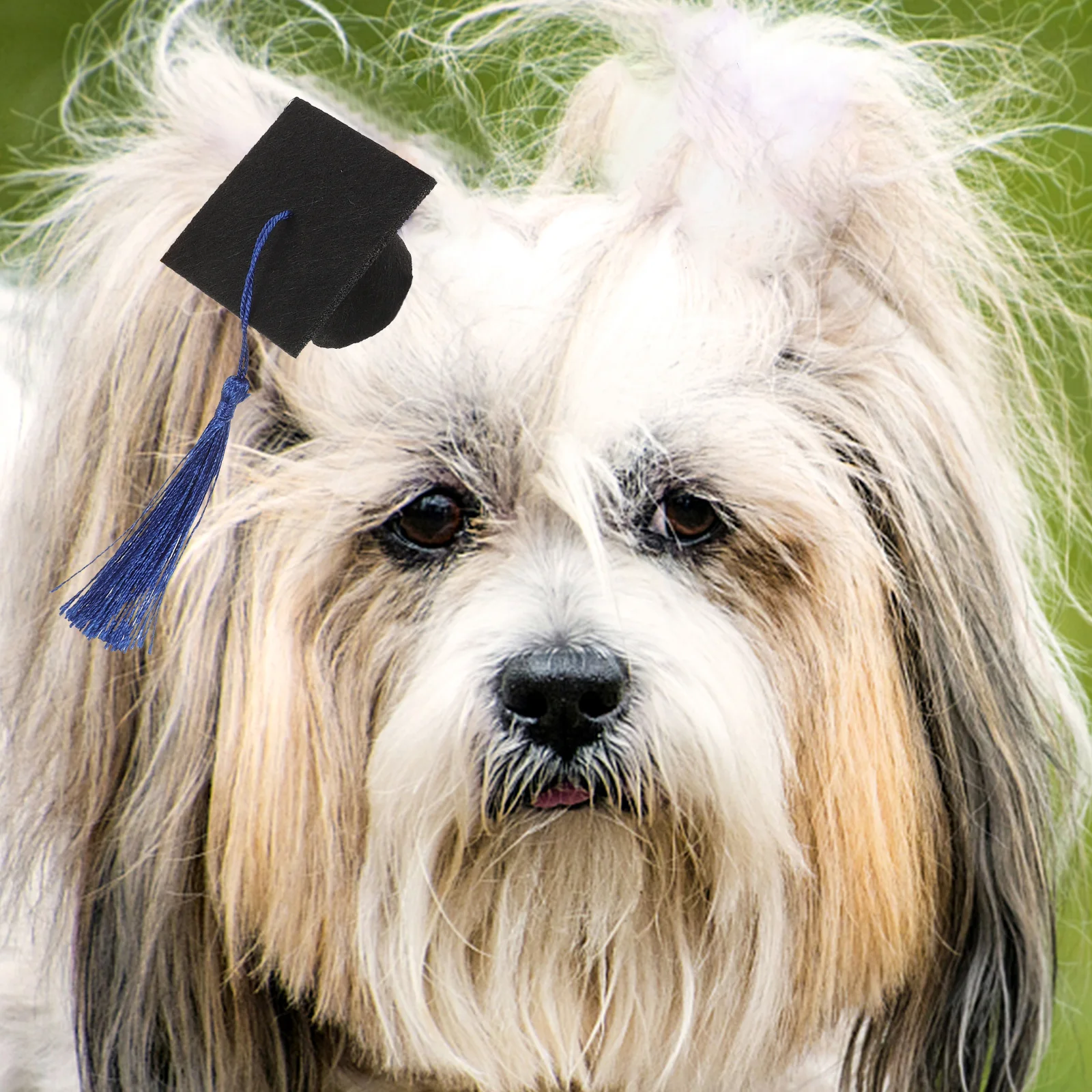 

4Pcs Pet Graduation Caps Lightweight Tassel Graduation Party Costume Photo Prop Adjustable for Small Dogs Cats Puppies