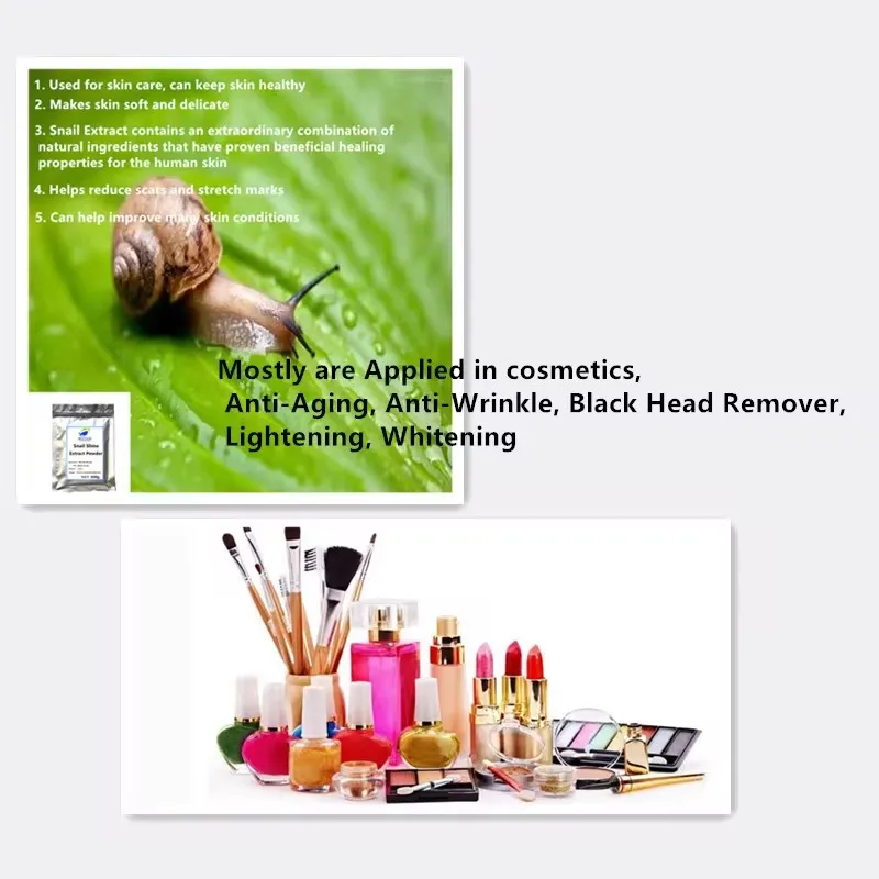 Hot sale  98% Snail Slime Extract Powder Strong Effects Skin Whitening Cream free shipping