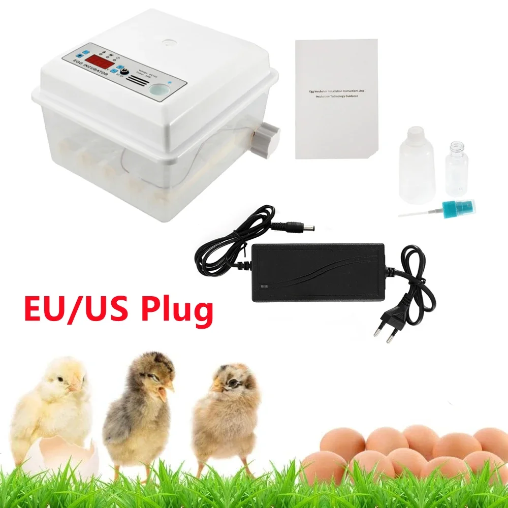 Stock Eggs Incubator 16 Eggs Digita Mini Automatie Incubatores for Hatching Turkey Goose Quail Chicken Egg Hatching