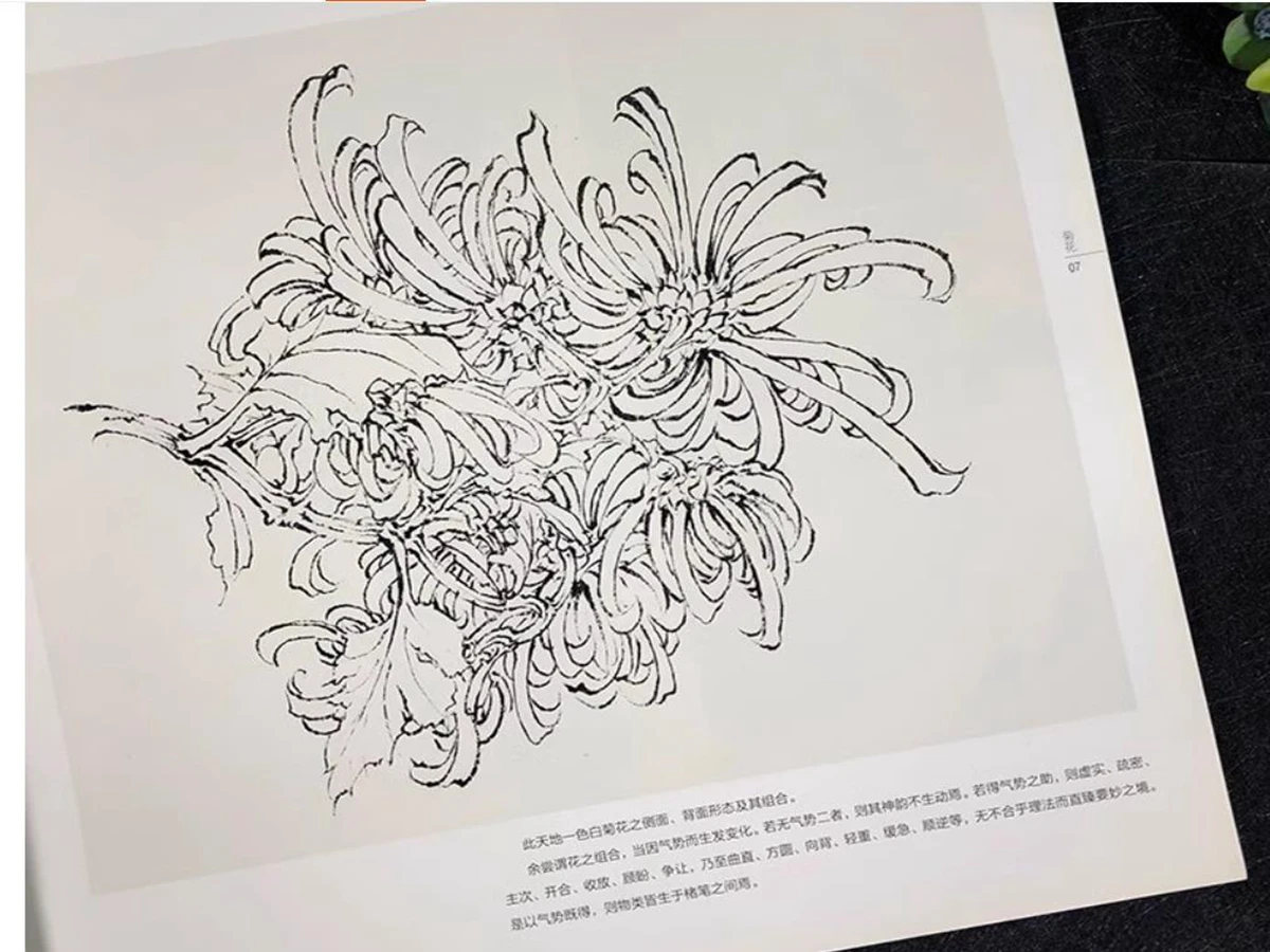 1pc  Chinese Painting Chrysanthemum White Outline Drawing Spectrum Drawing beginner beginners Brush Technique Book