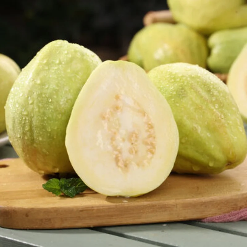 

Gear M1 8mm 14-20T 21T-25T 26T-30T Pinion Motor Gear for 1/5，1/6，1/7，1/8 Trsx ARRMA 4WD Outcast 8S EXBRC Car Motor Shaft