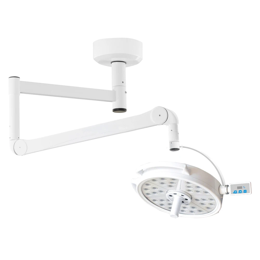 LIZE Wall-mounted Mobile Medical Examination Light Ceiling Recessed LED Surgical Lights Veterinary Operation Shadow Lamp 1pcs