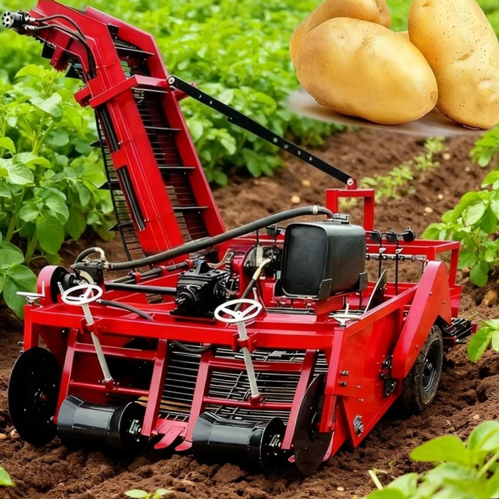 High Efficiency Farm Harvest Machine Potato Combine Harvester Crop Harvester 6-8 Mu Per Hour For Commercial