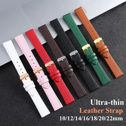 Ultra-thin Leather Watchband 10mm 12mm 14mm 16mm 18mm 20mm 22mm Watch Belt Strap for Women Small Size Brown White Black Bracelet