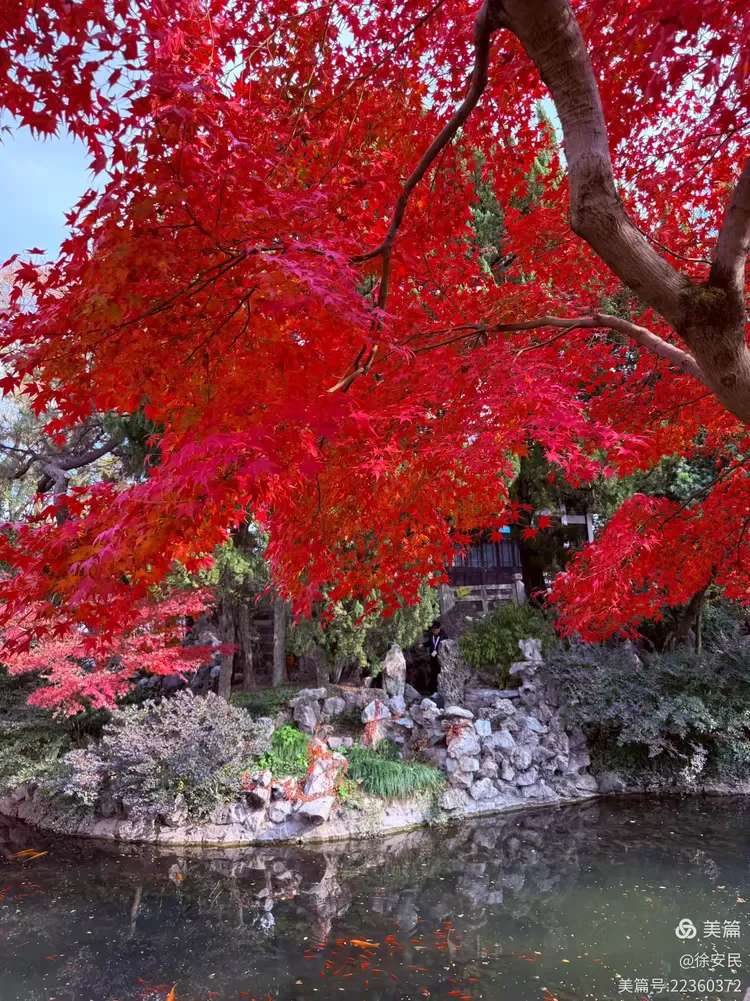 

Home Gun Bullet Skull Ice Cube Maker DIY Bullet Ice Cube Tray Chocolate Mold Whiskey Wine Ice Cream Tool New Cocktail Set