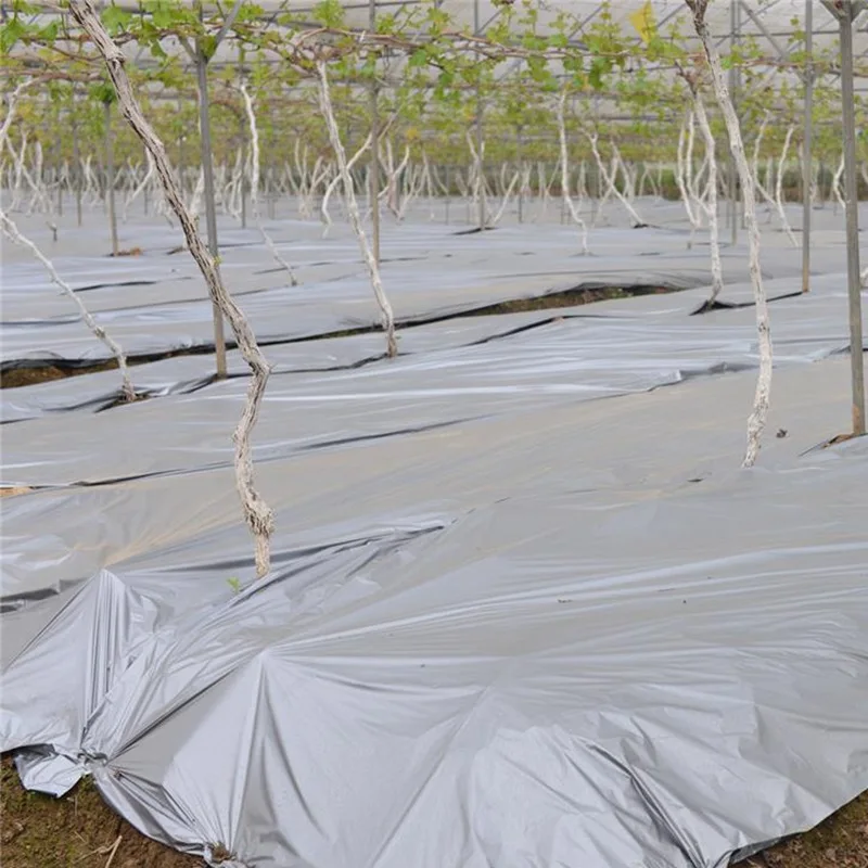 25m 0.012mm srebrzysty czarny odblaskowa plastikowa włóknina ogrodnicza Agricultral Orchard Tee sadzenia Film ogród owoce rośliny osłona