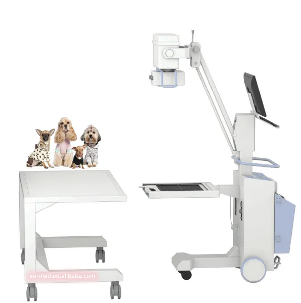 Cheap Medical Equipment Mobile Portable veterinary X ray machine system price with Pet DR bed VXM1010