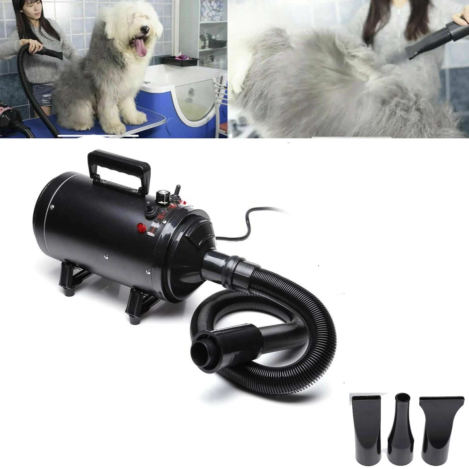 Secador de pelo para perros 2800w, soplador de perro de velocidad continua, 2 temperaturas: 35 ° C y 65 ° c, secador de pelo para perros / gatos y otros, con 4 boquillas