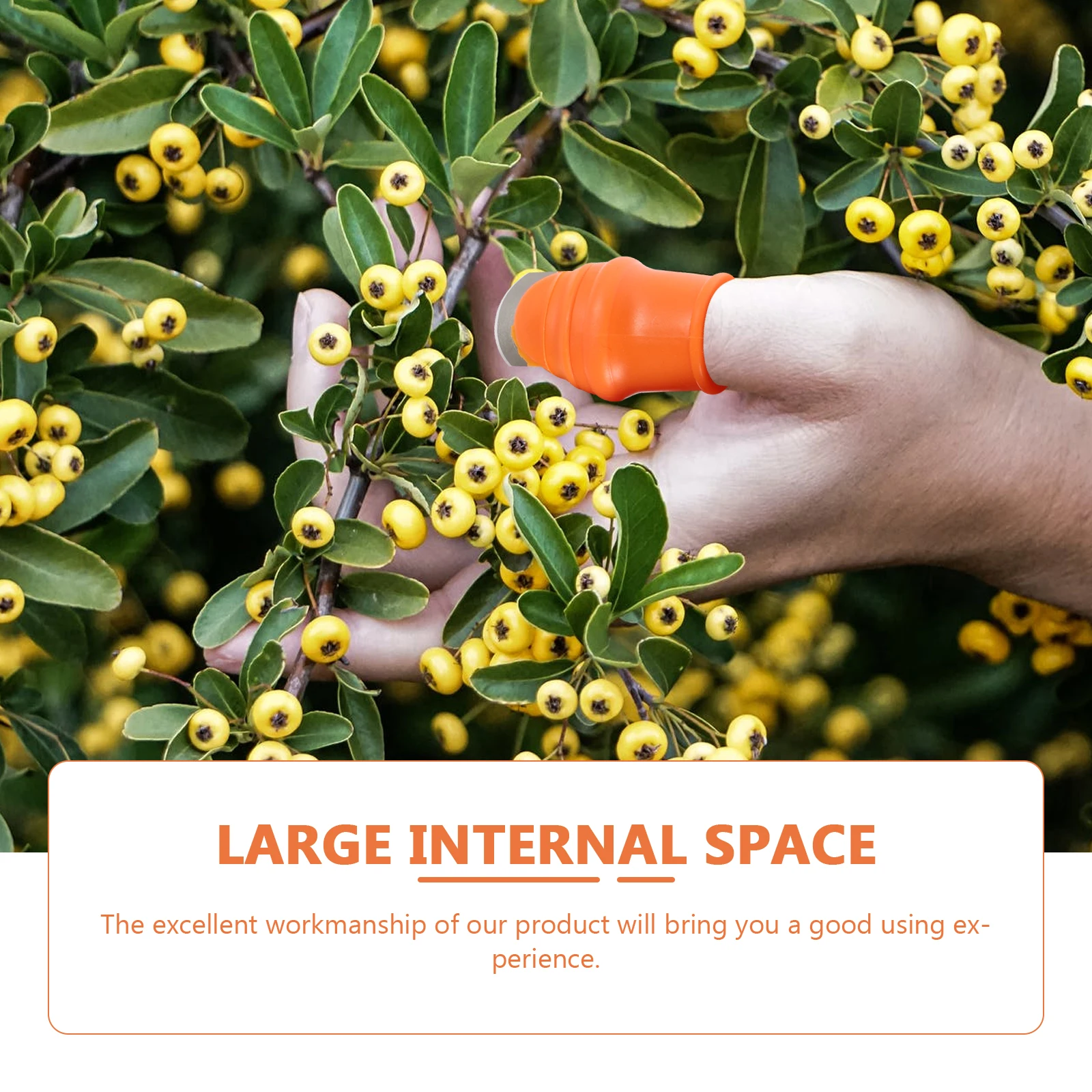 

1 Set Thumb Cutter Lightweight Vegetable Picking Tool Portable Small Size Easy Storage For Peppers Strawberries Garlic Peeling