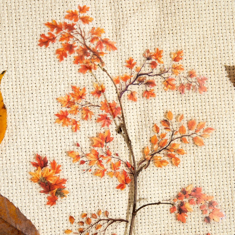 PET Sticker Pack Years Branches Series Plant Branche Landscape Hand Account Creative Collage Material DIY Photo Frame Decoration