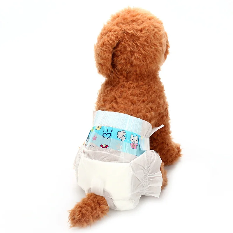 XXS XS S M L XL size 10PCS/Bag Pet Diapers Female Dog Disposable Leakproof Nappies Puppy Super Absorption Physiological  Pants