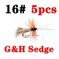 GH sedge