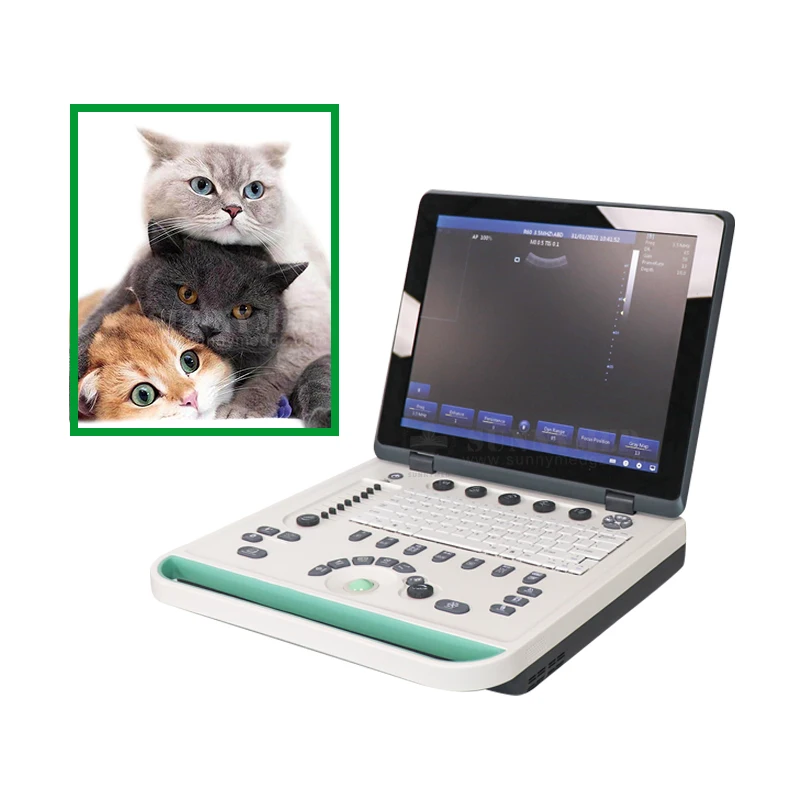 

SY-A032-2 Super Portable Black And White Wireless Wifi Ultrasound Probe Scanner Doppler Ultrasound Machine