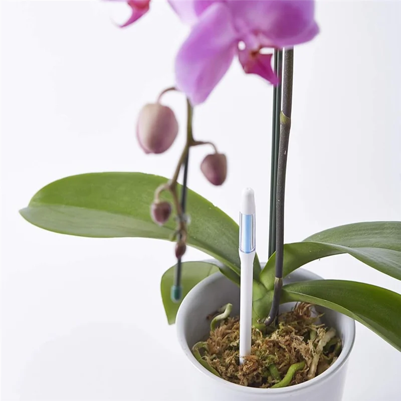 ABKO-Cuidado de plantas internas: 5 sensores de umidade do solo aquamétrico para plantas em vasos, médio