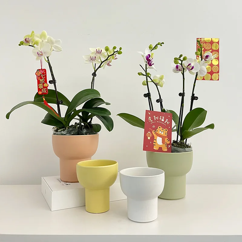 Simple White Ceramic Mini Flower Pot for Office Desk Single Orchid Planter Home Decor