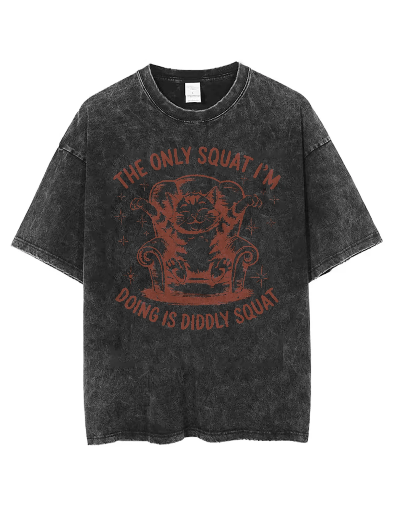 

The Only Squat I'm Doing Is Diddly Squat Unisex Black Washed Round Neck T-Shirt Loose Fit for Men Women Great for Christmas