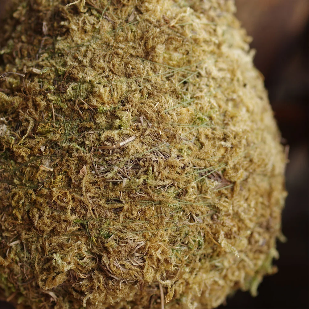 

1Pcs Christmas Tree Flower Arrangement Handmade DIY Creative Home Party Decoration Succulent Planting Vase Decorative Ornament