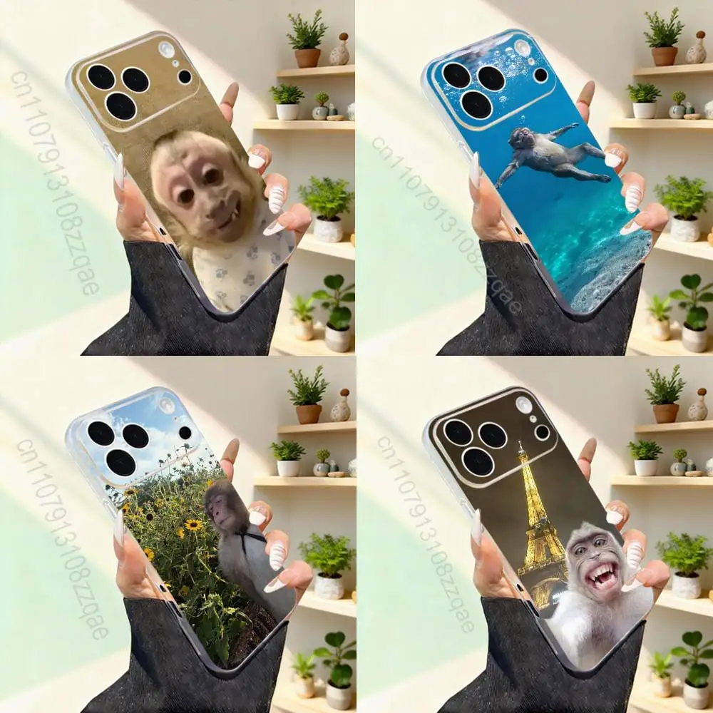 

Cute Monkey Funny For iPhone 11,12,13,14,15,16,17,Pro,Max,Plus,Mini,SE4,E Phone Case With Magsafe Wireless