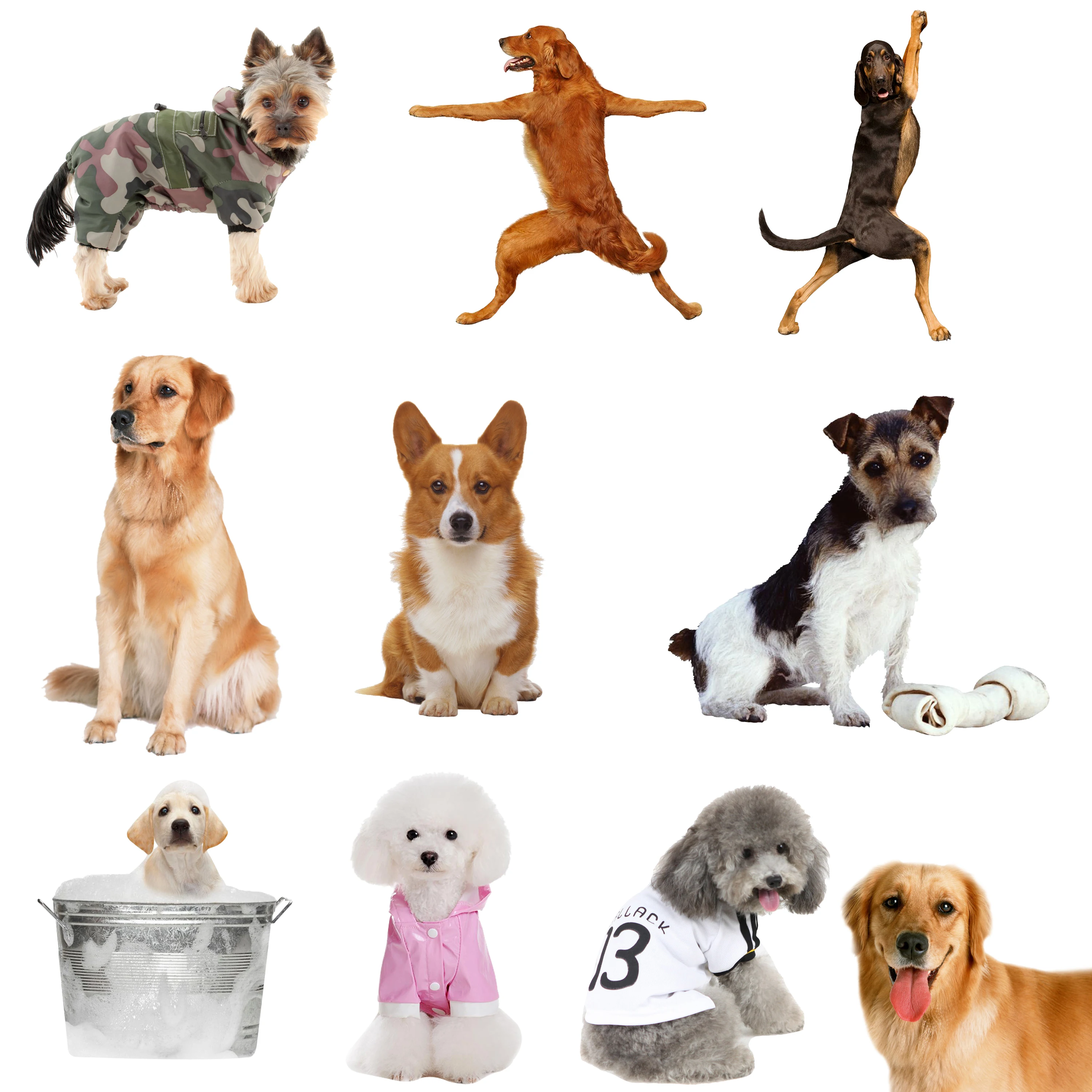 50pcs Cool Dog Animal Ledger Stickers Personalized Creative Graffiti Style Cartoon Stickers